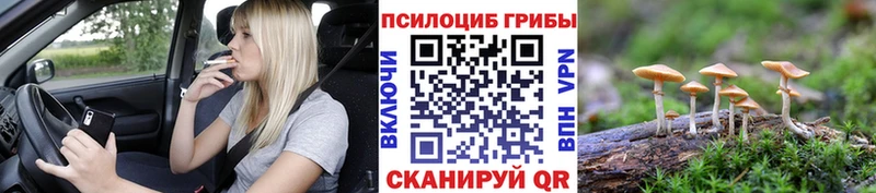 гидра вход Кодинск Галлюциногенные грибы MAGIC MUSHROOMS